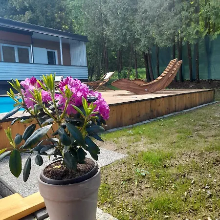 Daire Sonnenblume Am Klopeiner *