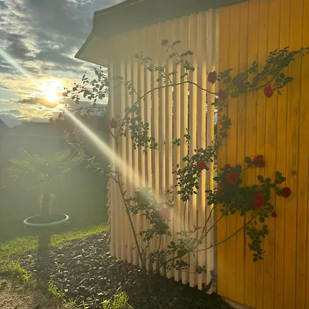 Sonnenblume Am Klopeiner Apartment